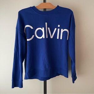 Calvin Klein Performance Terry Pullover Sweatshirt Large Logo Blue Size Medium